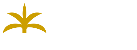 Palm Construction